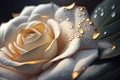 White and gold rose with dew drops Nature flower beautiful bright floral background blossom romantic plant Generative AI Royalty Free Stock Photo