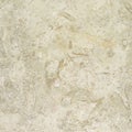 White Gold Tumbled Limestone Texture