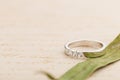 White gold wedding ring with diamonds on leaf on beige background Royalty Free Stock Photo