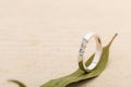 White gold wedding ring with diamonds on leaf on beige background Royalty Free Stock Photo