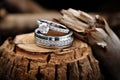 white gold wedding rings on a freshly cut tree stump Royalty Free Stock Photo