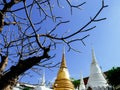 White and golden chedis with lilawadee tree of Royal cemetry at Wat Ratchabopit Royalty Free Stock Photo