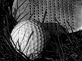 White golf ball closeup indeep grass and pitching wedge club Royalty Free Stock Photo