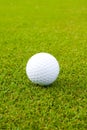 White golf ball on green Royalty Free Stock Photo