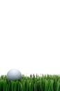 White golf ball in green grass Royalty Free Stock Photo