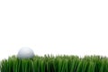A white golf ball in green grass Royalty Free Stock Photo
