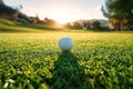 white golf ball on green grass of lawn on golf course in summer at sunny day close-up Royalty Free Stock Photo