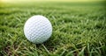 A White Golf Ball on a Green Lawn Royalty Free Stock Photo