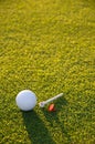 White Golf Ball, Red Marker and White Plastic Tee on Golden Lighted Grass Royalty Free Stock Photo