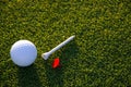 White Golf Ball, Red Marker and White Plastic Tee on Grass Royalty Free Stock Photo