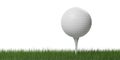 White golf ball on white golf tee in green grass over white background with shadow Royalty Free Stock Photo