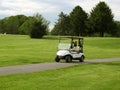 White Golf Cart