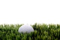 A white golfball on green gras Royalty Free Stock Photo