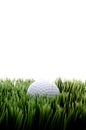 A white golfball on green grass