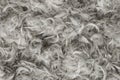 White goose feathers and fluff from pillows texture background Royalty Free Stock Photo