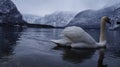 White goose lake