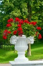 White gorgeous stone planter with red flowers