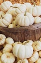 White gourds pumpkins in wooden basket