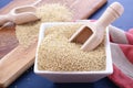 White grain quinoa on blue wood background.