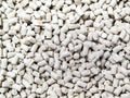 White grain of remelt plastic recycling pellets Royalty Free Stock Photo