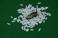 White rice and souvenir shoe on the table