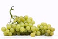 White grape Royalty Free Stock Photo