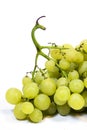 White grape Royalty Free Stock Photo