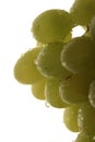 White grape Royalty Free Stock Photo