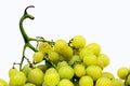 White grape Royalty Free Stock Photo