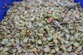 White grape pomace after crushing grapes for wine making Royalty Free Stock Photo
