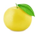 White grapefruit isolated on a white background Royalty Free Stock Photo