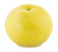 White grapefruit isolated on a white background Royalty Free Stock Photo