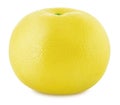 White grapefruit isolated on a white background Royalty Free Stock Photo