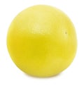 White grapefruit isolated on a white background Royalty Free Stock Photo