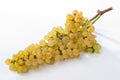 White grapes