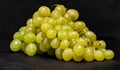 White grapes from biological and bio dynamic agricolture Royalty Free Stock Photo