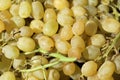 White Grapes Royalty Free Stock Photo