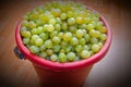 White grapes full bucket for making wine.