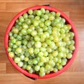 White grapes full bucket for making wine.
