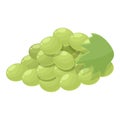 White grapes icon cartoon vector. Wine alcohol Royalty Free Stock Photo