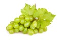 White grapes leaf Royalty Free Stock Photo