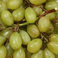 White Grapes Royalty Free Stock Photo