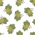 White Grapes Pattern