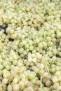 White grapes for sale