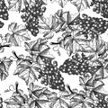 White grapes seamless pattern. Bunch of grapes with leaves