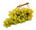 White grapes on a white background Royalty Free Stock Photo