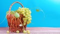 White grapes in a wicker basket. Royalty Free Stock Photo