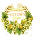 White grapes wreath watercolor card Vector. Painted splash style templates