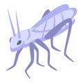 White grasshopper icon isometric vector. Art color life Royalty Free Stock Photo