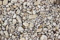 White gravel texture Royalty Free Stock Photo